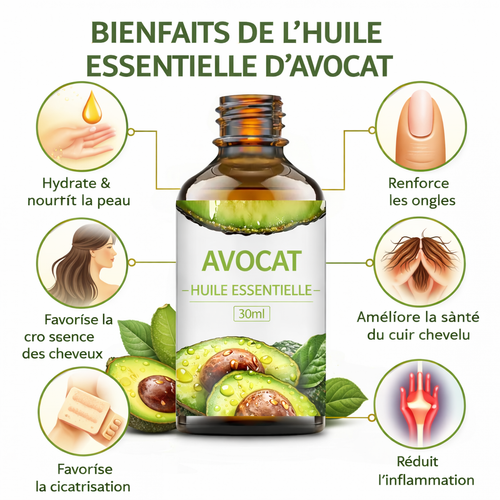 Huile Essentielle d’Avocat – 30ml (Qualité Premium)